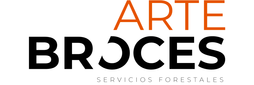 ArteBroces
